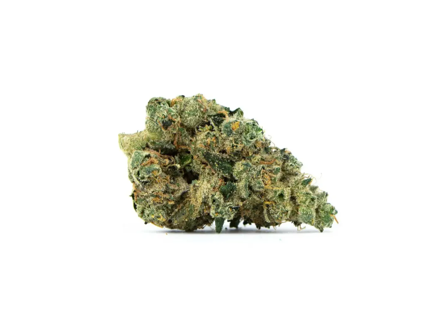 A photo of Crescendo by Ignite cannabis bud