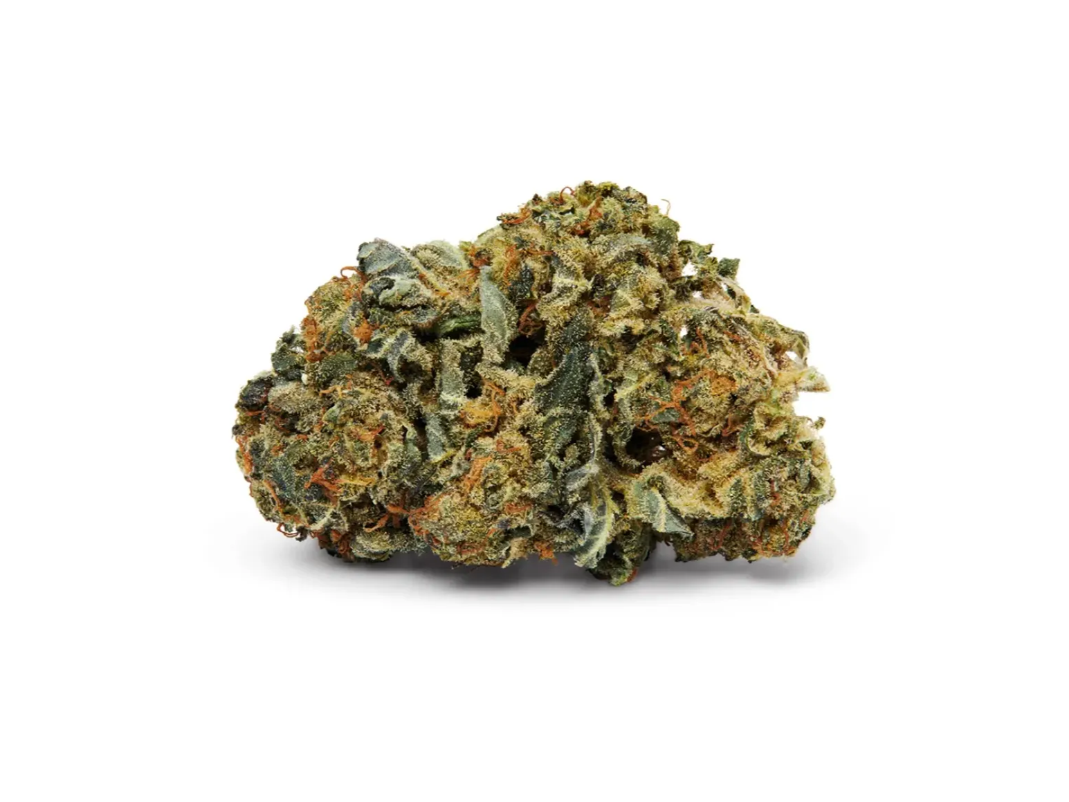A photo of Kalifornia by Kolab cannabis bud
